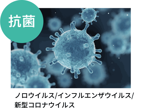 抗菌 ノロウイルス/インフルエンザウイルス/新型コロナウイルス